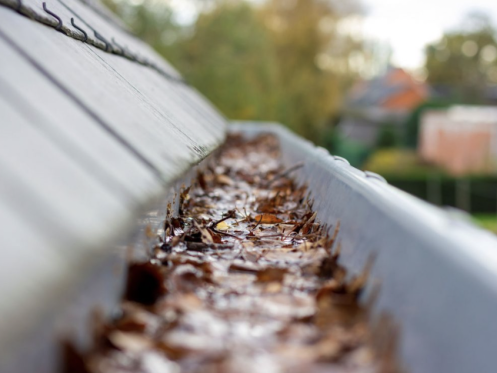 gutter cleaning